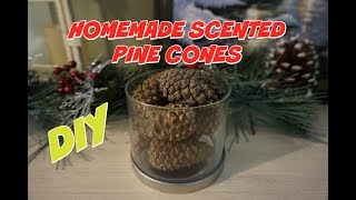 DIY HOMEMADE SCENTED PINE CONES | ESSENTIAL OIL RECIPE