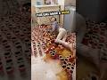 She Tried To Prank Her Sister… But This Happened!😂
