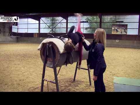 Turniersport Voltigieren – Pflichtblock 2