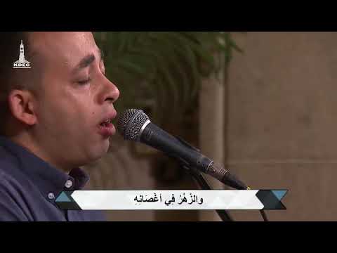 لك يا سيدي - بيتر ساويرس | Laka Ya Sayede - Peter Sawiris