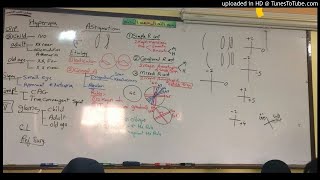 32) Dr. Wael Salah astigmatism, anisometropia