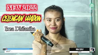 Download lagu CELENGAN WADON  ( ERNA DHILANIKA ) - SESHIN  - JEMBRONG BEKEN ONLINE 7 OKTOBER 2022 mp3