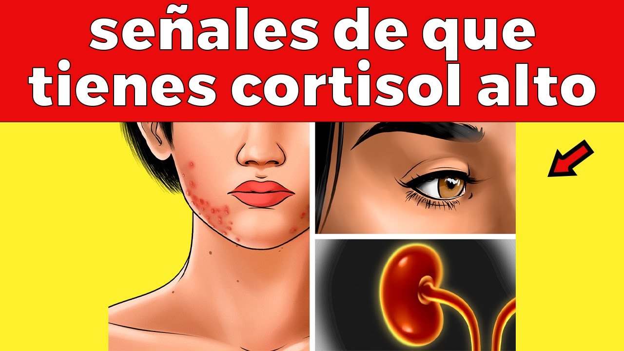 13 señales de que tienes el cortisol alto