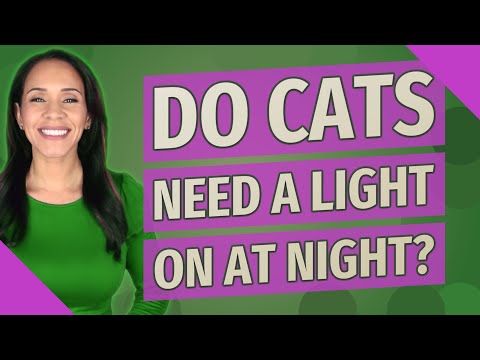 Do cats need a light on at night?