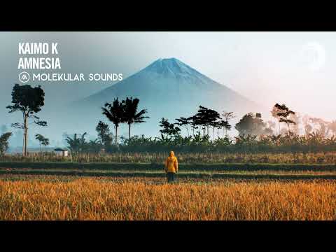 Kaimo K - Amnesia [Molekular Sounds] Extended