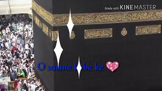 Download lagu Safe poto(55) mp3 Download lagu Safe poto(55) mp3