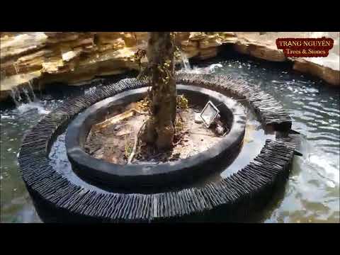 Test hồ cá koi thác nước 