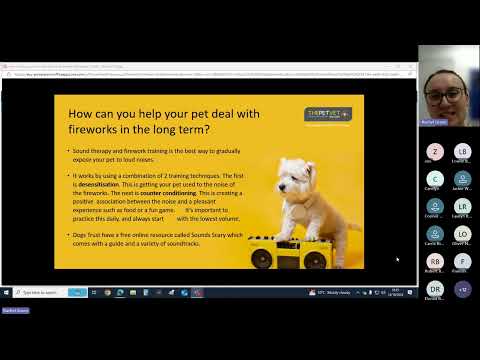 Helping your pet in the lead up to Bonfire Night