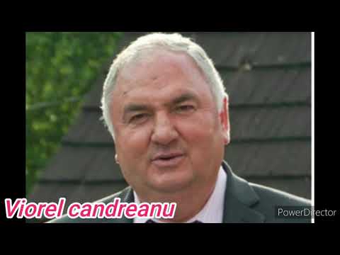 Apocalipsa se împlinește- Viorel Candreanu