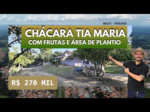 Chácara de 5.200m² a 2,5 km da cidade | Casa, frutas e água de mina em Jaboti Paraná 