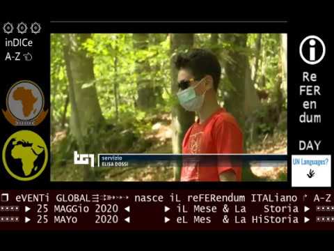 TG1 sera 25 maggio 2020 il bambino e l'orso delle dolomiti, "comportamento esemplare" a 2 metri