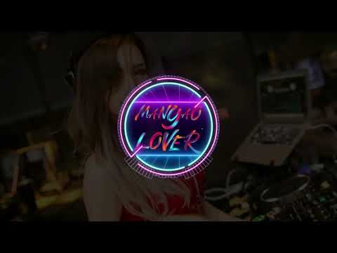 Guo Lu De Wan Feng -過路的晚風 || Electro Manyao Remix 2024