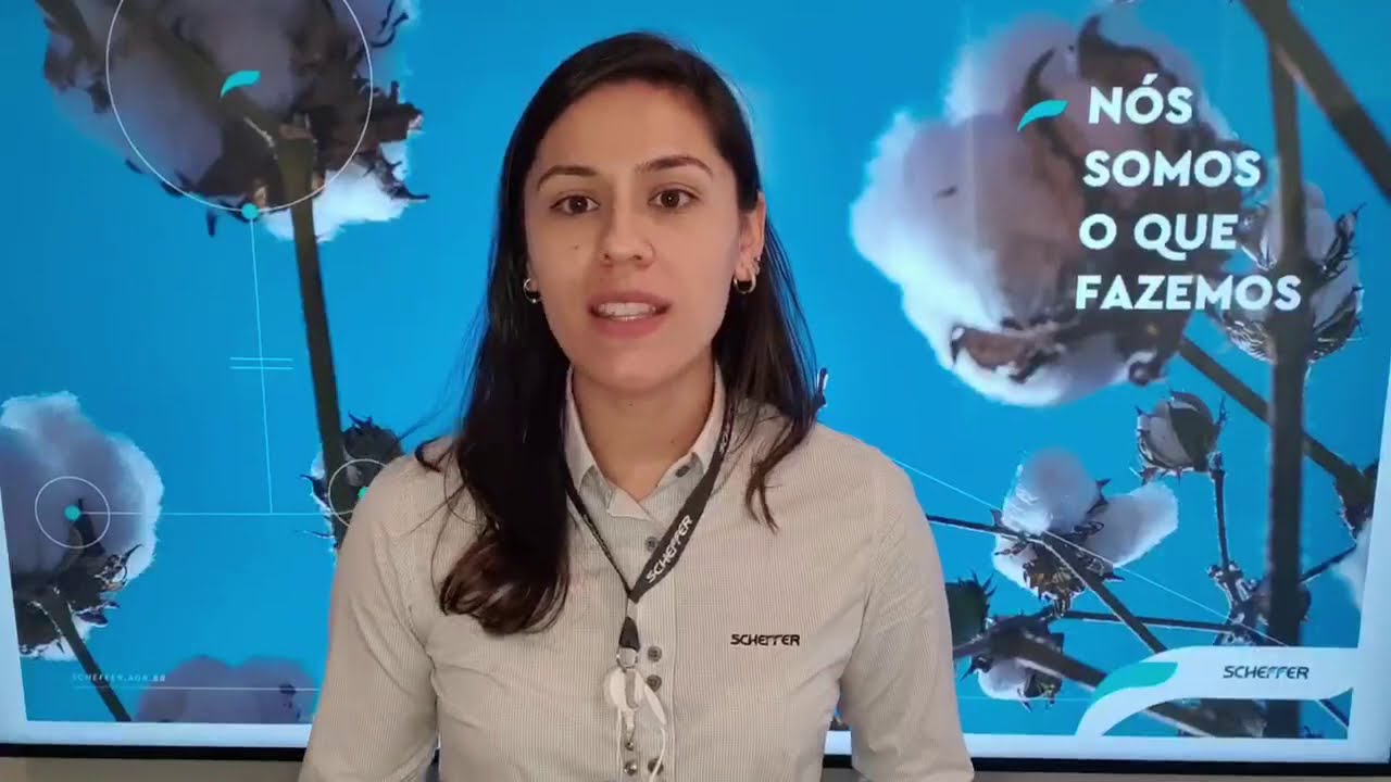 MINUTO AGRO SCHEFFER Ep2.