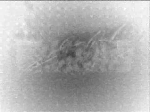 Projekat Band - Noc po noc