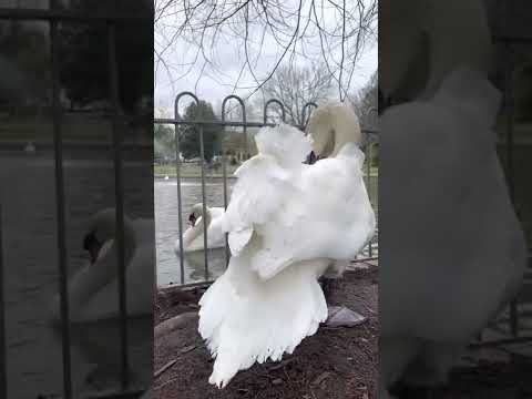 Jephson Gardens Leamington Spa