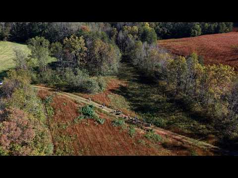 Fall Forestry and Wildlife Field Tours mark 50 years of sustainable forestry education