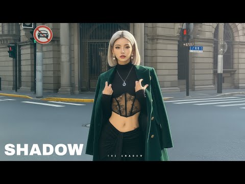 The Shadow - Simple Truth (Official Audio)