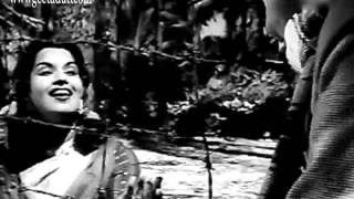 Musafir Khaana - Dil De Daala Nazraana - Geeta Dutt