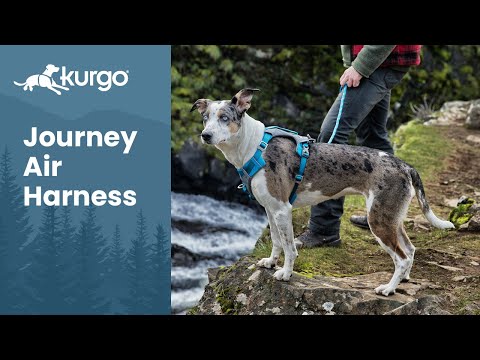 The Journey Air Dog Harness | Adventure in comfort