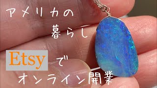 【アメリカの暮らしVlog#13】 アメリカ日常Vlog　|  コロナワクチン接種　| オンラインショップ運営Etsyショップ　|　息子と公園へ