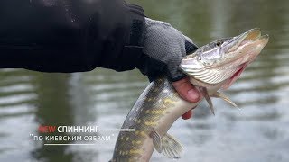 Перспективные места для ловли хищника киев