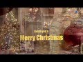 Merry Christmas & Happy New Year! 