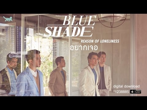 Blue Shade - อยากเจอ (Reason of loneliness) [Official Audio]