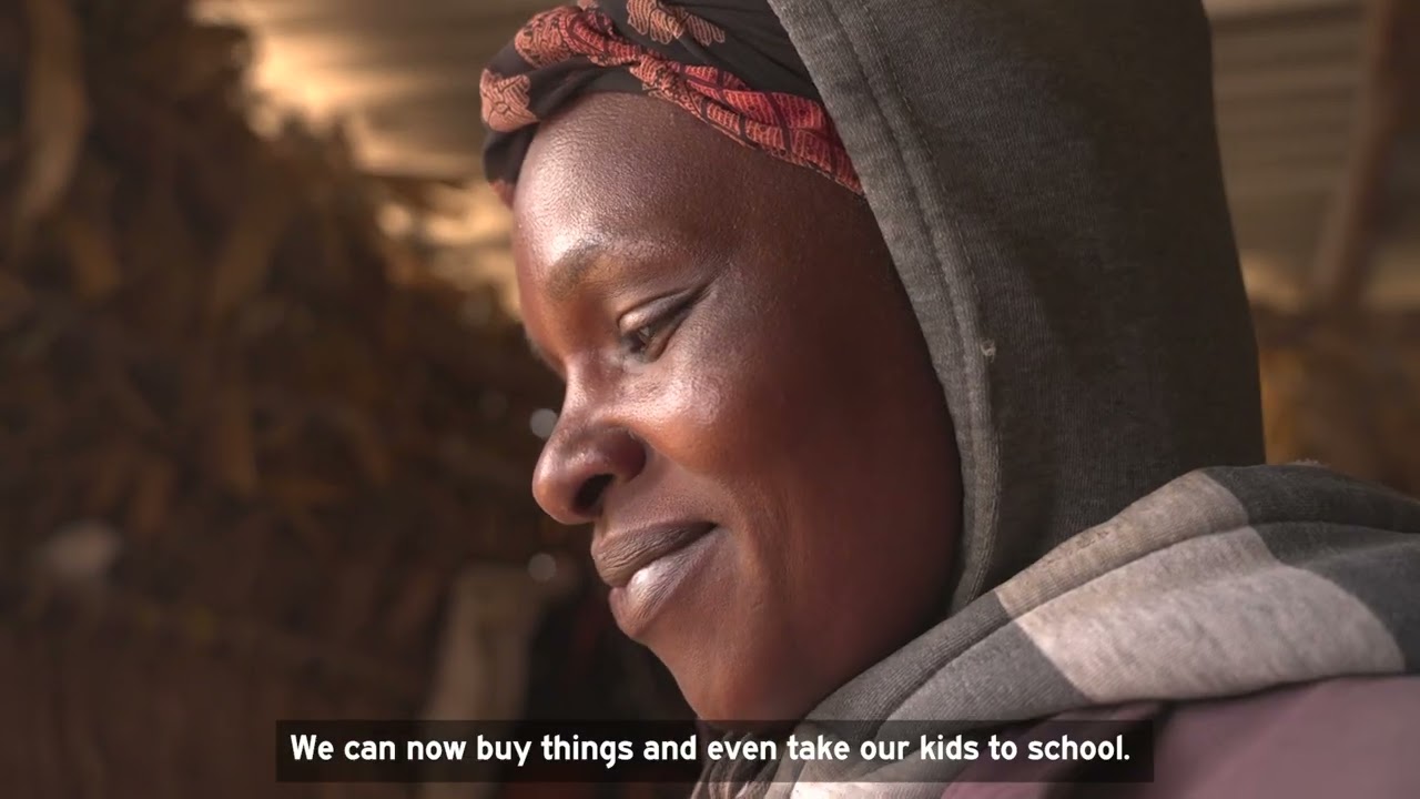 In short: Cinch - Restoring Degraded Land in Kenya