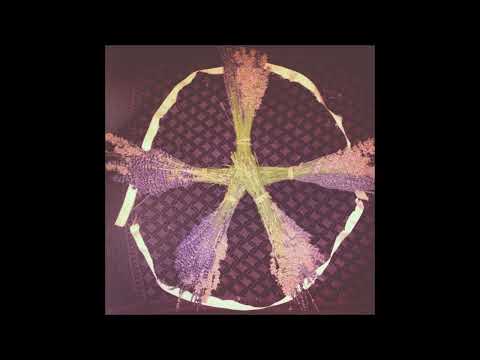 SICK WITCH LAMENT - Magnolia Fox