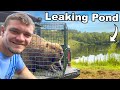 I Relocated Beavers Into An Abandoned Pond To Fix It