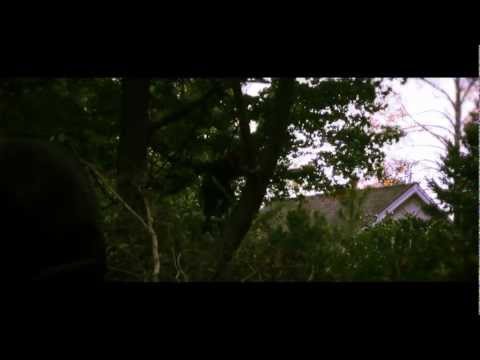 Radical Face - Always Gold (Unofficial Music Video)