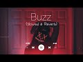 Buzz Aastha Gill Badshah Slowed Reverb