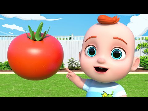 Aprende las frutas y las verduras | Canciones Infantiles | Bebe Leo en Español