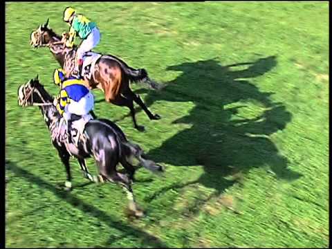 Galoppo 02/12/2015 - 1° corsa