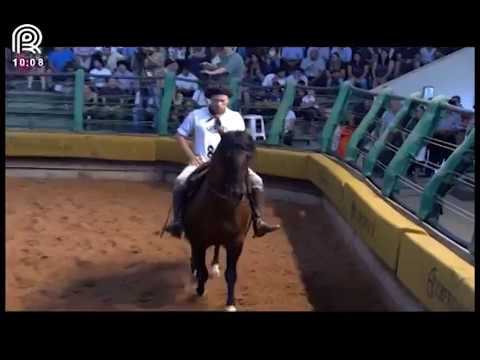 Bocal de Ouro Esteio (RS) – 3rd place males – Golilla Patron