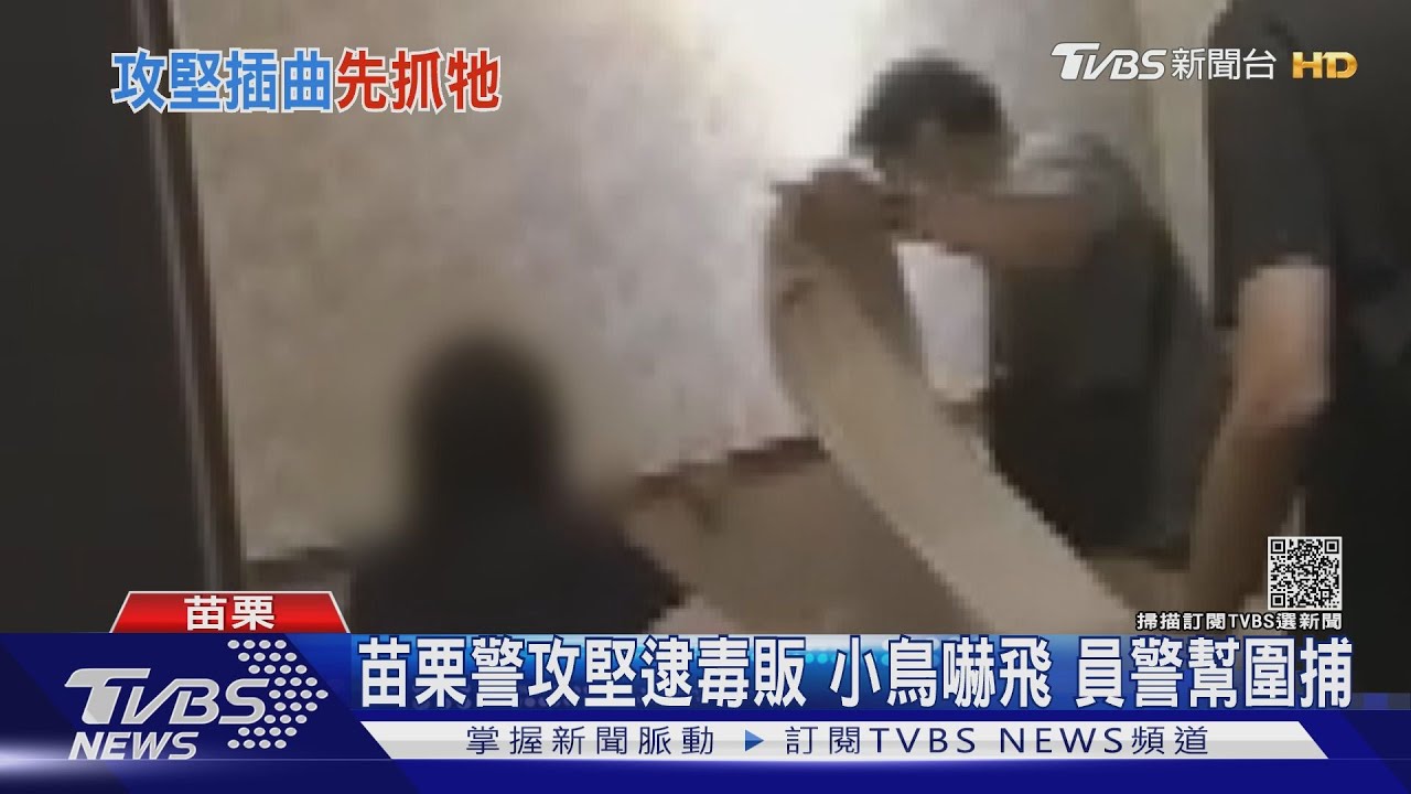 苗栗警攻堅逮毒販！小鳥嚇飛　員警幫圍捕