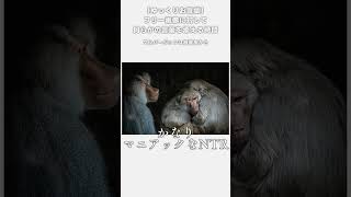 【ゆっくりお言葉】フリー画像に対して何らかの言葉を添える時間抜粋 #Shorts