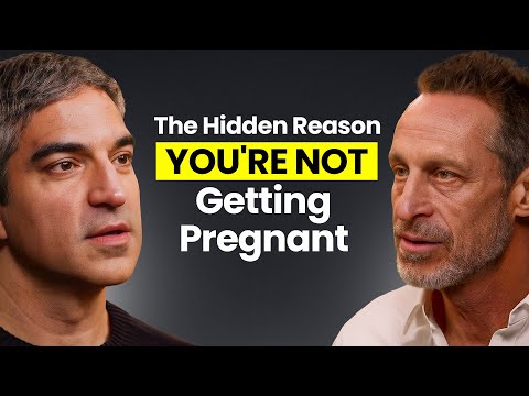 Why Men’s Fertility Is Collapsing and What It Means for Our Future