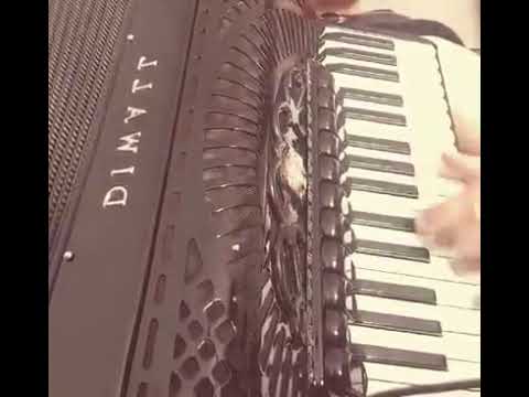 Ljubišino kolo-Ljubisa Pavkovic