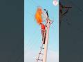 Electricity lineman #shorts #electricity #youtube #viral ๐ - PSS power Supply Electricity lineman #shorts #electricity #youtube #viral ๐