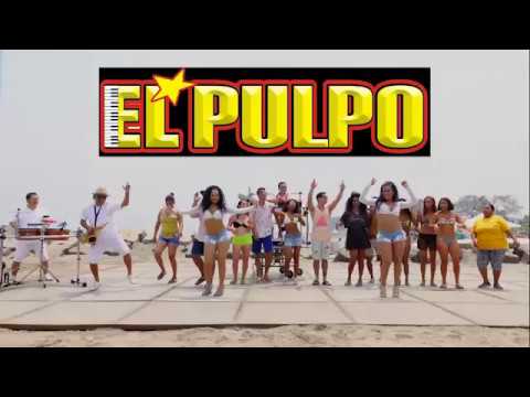 Video oficial gozando y bailando  el pulpo Alfredo y sus teclados disco #35