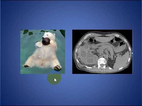 download lagu mp3 mp4 Bear Paw Sign, download lagu Bear Paw Sign gratis, unduh video klip Bear Paw Sign