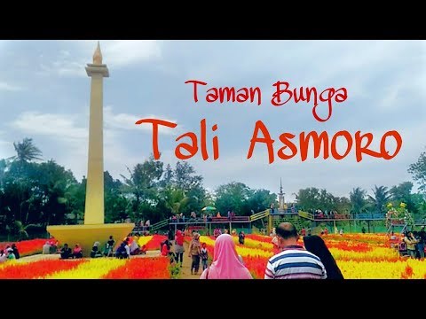 Taman Bunga Tali Asmoro Binangun Cilacap смотреть онлайн