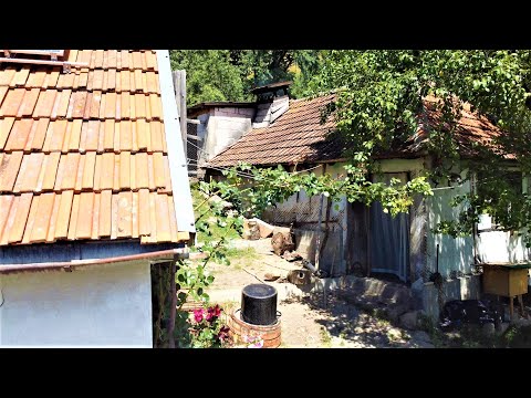 Camping Arjana Dobraia - Romania