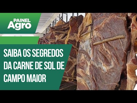 Campo Maior tem a melhor carne de sol do país; Saiba o motivo