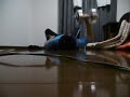 305 Push ups+Floor press 腕立て305回+25㎏ダンベルフロアプレス