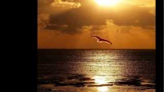 Eu vou seguir - Marina Elali