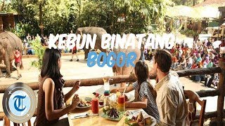 4 Kebun Binatang di Bogor yang Cocok Buat Liburan Akhir Pekan
