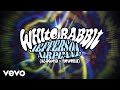 Jefferson Airplane - White Rabbit (slowed + reverb - Visualizer)