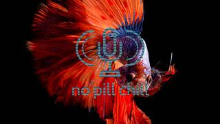 Waves Know Shores - James Blake